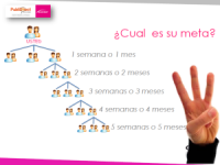 /album/fotogaleria-afiliate-con-nosotros/a7-png/